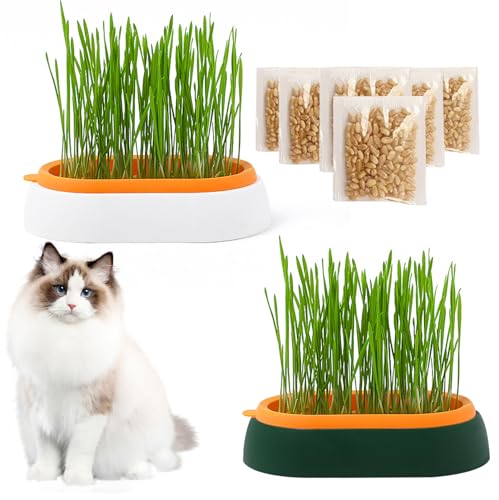 HOMURY Katzengras Tablett Wachstumsset: Kunststoff Bequem Katze Gras Fall, 2 Stücke Hydroponik-Katzengraskasten mit 6 Tasche Seed, Katzengras-Keimschale Für Katzenhunde Haustiere von HOMURY