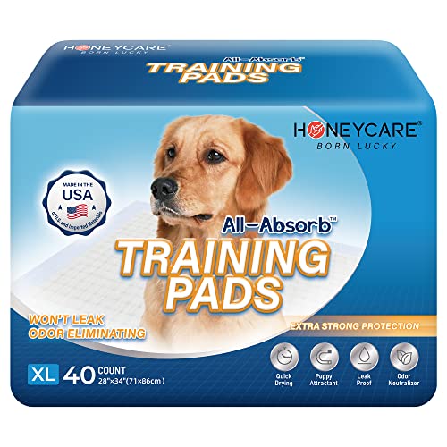 All-absorb XL-Training-Pads 71 x 86 cm, 40 Stück von HONEY CARE