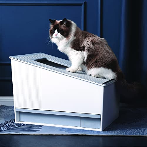 Honey Care Selbstreinigende Katzentoilette, Scope-Free Automatische Katzentoilette für Mehrere Katzen, APP & Alexa Voice System Smart Secure Control, Mattweiß von HONEY CARE