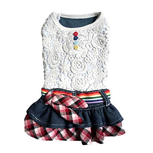 HONGBI Sommer Kleiner Hund Katze Spitze Denim Plaid Rock Prinzessin Kleid Regenbogen Gürtel Weste Rock Puppy Mädchen Kleidung Blau L von HONGBI