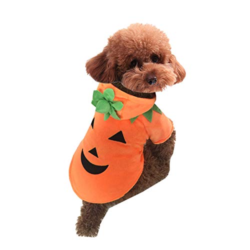 Halloween Kürbis Kostüm Haustier-Kostüm Welpe Hund Cosplay Aktivitätskleidung Hund Katze Warme Outfits Hoodie Jacke Mantelwie das Bild zeigt S von HONGBI