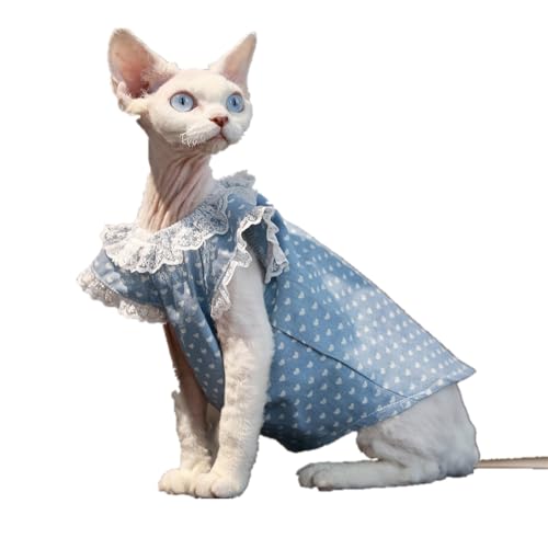 HONGSUO Sphynx-Katzenkleidung Devon/Haarlose Katze Jeanskleid Weiches Und Bequemes Prinzessinnen-Spitzenkleid,Prinzessinenkleid,XXL- von HONGSUO