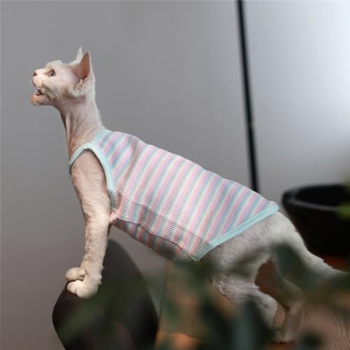 HONGSUO Sphynx-Katzenkleidung Devon/haarlose Katze Reine Baumwollweste Ärmelloses T-Shirt Homewear,Blau,XXL- von HONGSUO