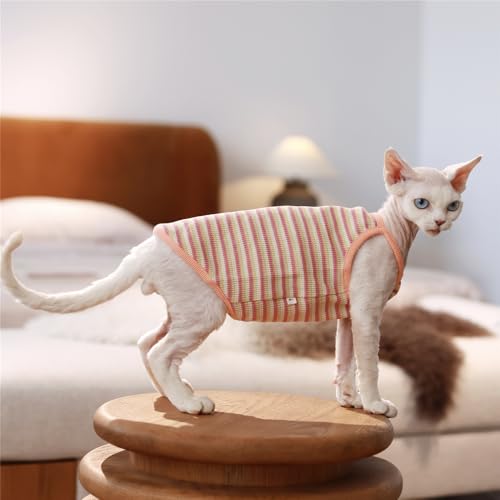 HONGSUO Sphynx-Katzenkleidung Devon/haarlose Katze Reine Baumwollweste Ärmelloses T-Shirt Homewear,orange,XXXL+ von HONGSUO