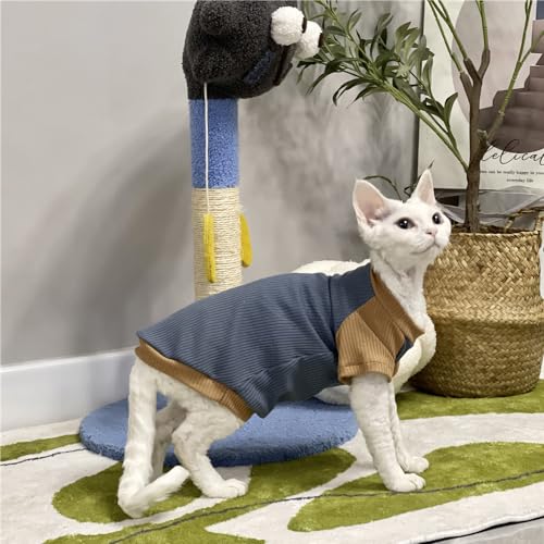 HONGSUO Sphynx-Katzenkleidung Devon/haarlose Katze Sommer-Bauchschutz 4-Fuß-Kleidung Sweatshirt-Unterhemd Aus Reiner Baumwolle Bequem Und Schmutzabweisend,Blaues T-Shirt,M von HONGSUO