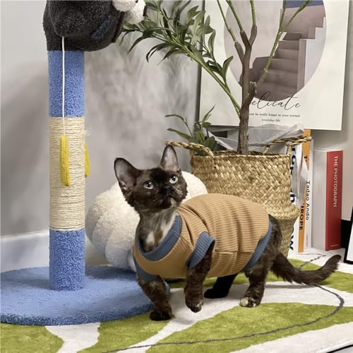 HONGSUO Sphynx-Katzenkleidung Devon/haarlose Katze Sommer-Bauchschutz 4-Fuß-Kleidung Sweatshirt-Unterhemd Aus Reiner Baumwolle Bequem Und Schmutzabweisend,Braune Weste,M von HONGSUO