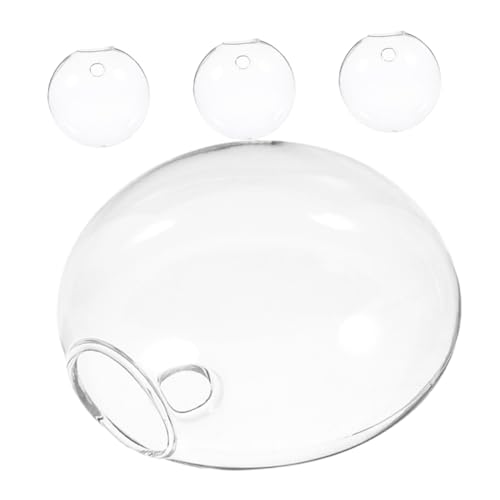 HOOTNEE 4 Stück Hydrokultur Pflanzenglasflaschen, Glasterrarien Für Pflanzen, Wand Für Zimmerpflanzen, Glaspflanzenflaschen, Hydrokultur Blumenhalter, Hydrokulturvase, Glaspflanzgefäß, HOOTNEE 4 Stück Hydrokultur Pflanzenglasflaschen, Glasterrarien Für Pflanzen, Wand Für Zimmerpflanzen, Glaspflanzenflaschen, Hydrokultur Blumenhalter, Hydrokulturvase, Glaspflanzgefäß, von HOOTNEE