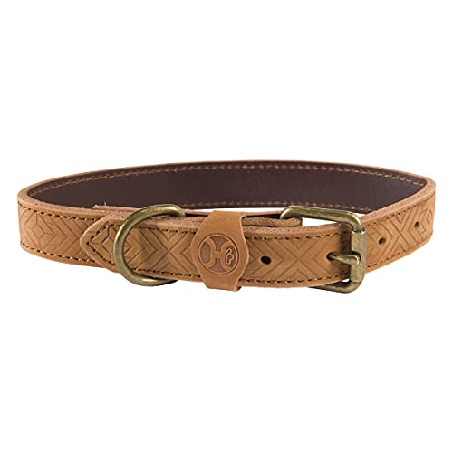 Hooey Galveston Hundehalsband, geprägtes Echtleder, mit Western-inspirierten Details, Braun, Größe L von HOOey