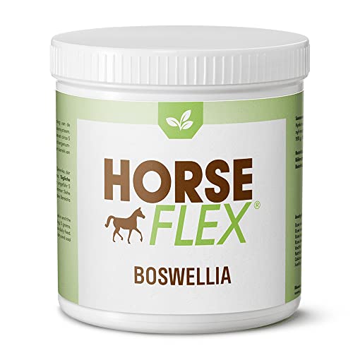 HORSE FLEX Boswellia Pulver für Pferde zur Unterstützung der Gelenke, der Haut und des Magen-/Darmkanals und des gesamten Immunsystems - 1000 Gramm von HORSE FLEX