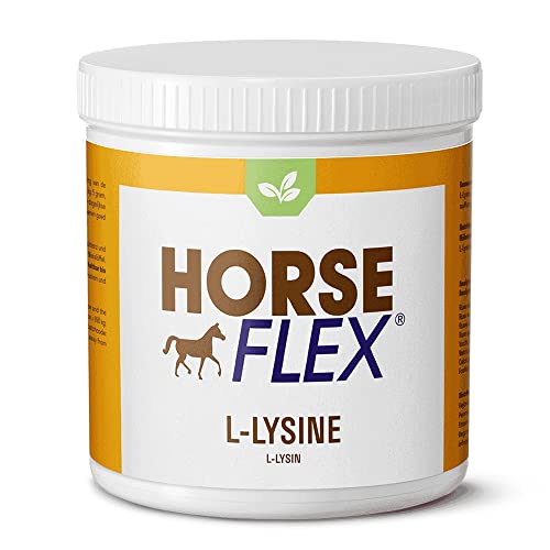 HORSE FLEX L-Lysin Pulver für Pferde zur Unterstützung der Resistenz und des ganzen Immunsystems - 1500 Gramm von HORSE FLEX