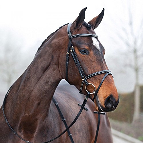 HORZE Pferde Trense Constance, Trensenzaum mit Zügel für Warmblut, Vollblut und Pony, Schwarz, C von HORZE