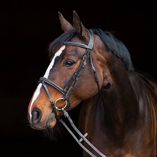 HORZE Pferde Trense Constance, Trensenzaum mit Zügel für Warmblut, Vollblut und Pony, Schwarz, XF von HORZE