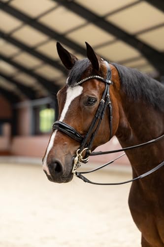 HORZE Pferde Glamourdale Weymouth Kandare, Pferde Trense von HORZE