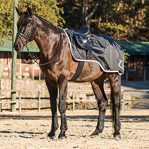 HORZE ProTrek Reitdecke mit Fleece, 420D, mit Dupont Teflon Beschichtung für wasserabweisenden Schutz, Atmungsaktiv, Schwarz, 75-165CM, Schwarz, 135 von HORZE