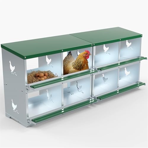 HOSTIC Grüner Hühner Nistkasten 8 Fächer Legeboxen für Huhn und Geflügel zum Eiersammeln Hühner Legeboxen Hühner Hühnerstall Box von HOSTIC