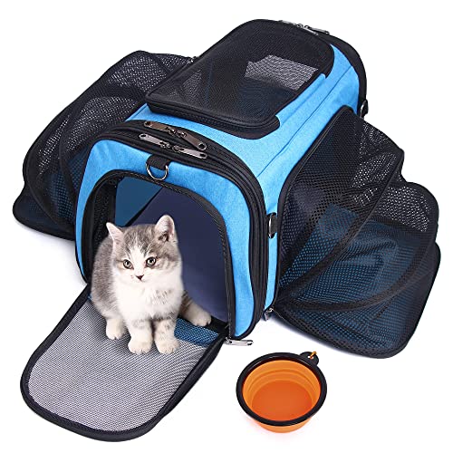 HOTLANTIS Tragetasche für Katzen und Hunde, Fluggesellschaften zugelassen, weiche Seiten, Haustier-Reisetasche, tragbar, faltbar, für kleine Hunde und Welpen (Blau) von HOTLANTIS