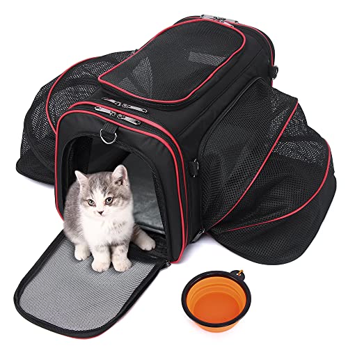 HOTLANTIS Tragetasche für Katzen und Hunde, Fluggesellschaften zugelassen, weiche Seiten, Haustier-Reisetasche, tragbar, faltbar, für kleine Hunde und Welpen (Schwarz) von HOTLANTIS