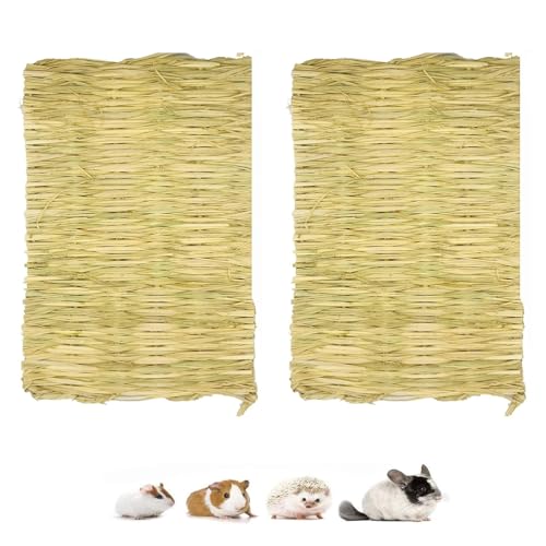 Grasmatte für Kaninchen, 2 Kleine Haustier-Grasmatte, Natürliches Gras Gewebte Matte, Tier Kauspielzeug, Kleintier Grasmatte, Natürliche Grasmatte, Handgewebt Grasmatte, Kaninchen Matte, 28 x 20 cm von HOTMNTY