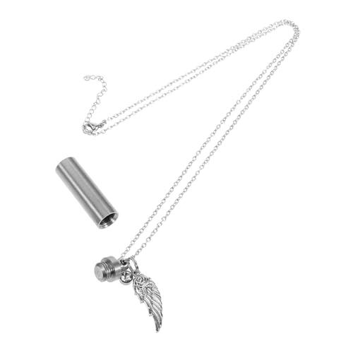 HOUDERCO Haustier-gedenkkette Haustier-Asche-andenken-Halskette Halsketten Für Haustierurnen Asche-Halskette Halskette Mit Schmuck Für Die Feuerbestattung Halskette Urne Stahl Silver von HOUDERCO