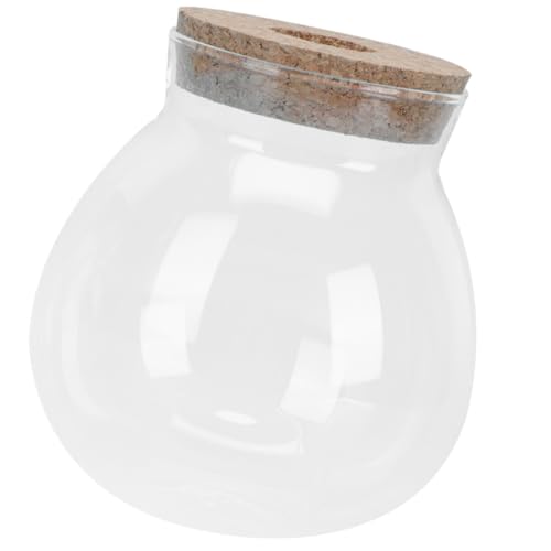 HOUDERCO Hydroponisches Aquarium Aus Glas Tank Künstlich Makramee Anlage Mini-Tasse Wasserflasche Container Pflanzen Glocke Micro-landschafts-DIY-Flasche Glaskanister Moos Handwerk von HOUDERCO