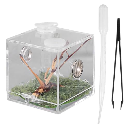 HOUDERCO Kasten Springspinnen-Zuchtbox Spinnen-Terrarium Gehäuse Anlasser Tank insektenbox Insekten Box Reptilien Aufzuchtbox Terrarium für Kriechtiere Haustierkoffer Spinnenfall Acryl von HOUDERCO