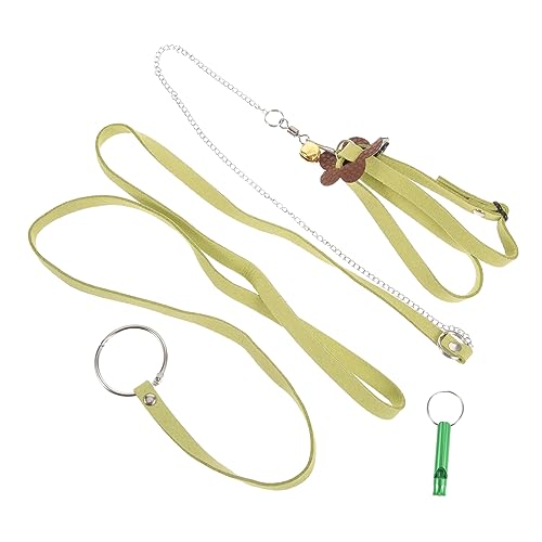 HOUDERCO Schildkrötenleine Nervöser Hund Abschleppen Hundegeschirr Ohne Zug Leopardgecko-leinen Outdoor-schildkrötenkontrollseil Schildkrötengehege Trainingsleine Edelstahlkette Light Green von HOUDERCO