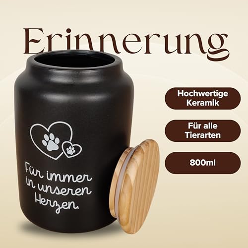 HOUSLY® Urne Hund | 800ml - Für kleine und mittelgroße Hunde | Tierurnen für Hunde | Andenken an verstorbenen Hund | Tierurnen für Katze | Urne Katze (Für Immer in unseren Herzen.) von HOUSLY