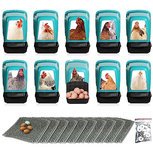 Hühner-Nistkästen Hühner-Legekästen mit Sitzstange ausrollbare Nistkästen für Hühner Nistkästen für Hühnerstall Nistkasten groß (Grün, 10 Pack) von HOWUXZO