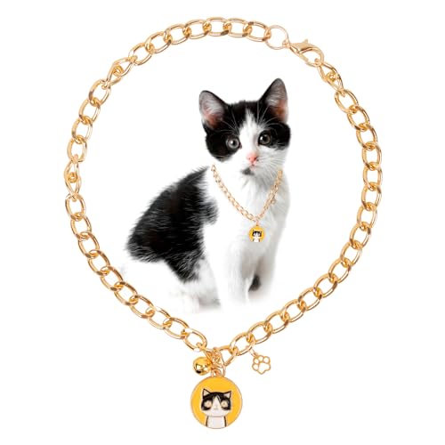 HOWWFALY Hundehalsband und Katzenkette, Edelstahl, verstellbar, 18 Karat Gold, herzförmige Halskette für kleine Haustiere, Katzen, Kätzchen, Welpen (Gold, 34,8 cm) von HOWWFALY