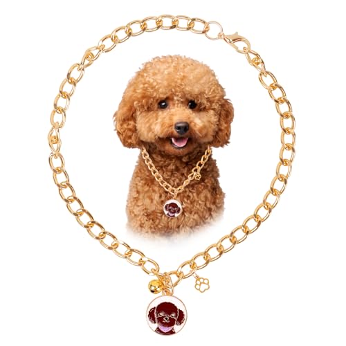 HOWWFALY Hundehalsband und Katzenkette, Edelstahl, verstellbar, 18 Karat Gold, herzförmige Halskette für kleine Haustiere, Katzen, Kätzchen, Welpen (Gold, 9,85) von HOWWFALY