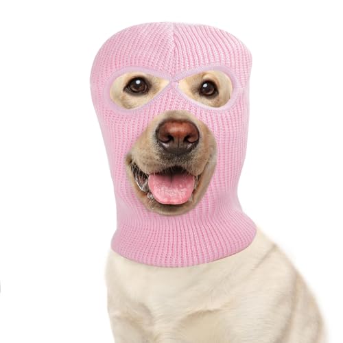 HOWWFALY Hundekostüm, Katzenbekleidung, Hundespielzeug, gelockte Zöpfe, Kopfbedeckungen, Perücken, Styling, niedlich, lustig, Tierhaarzubehör (Rosa) von HOWWFALY