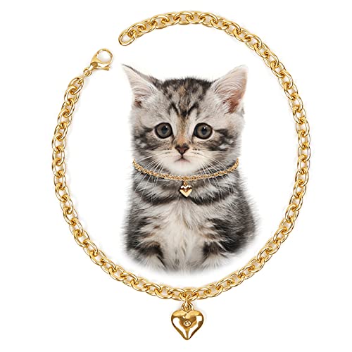 HOWWFALY Hundehalsband und Katzenkette, Edelstahl, verstellbar, 18 Karat Gold, herzförmige Halskette für kleine Haustiere, Katzen, Kätzchen, Welpen (Gold, 17,8 cm) von HOWWFALY