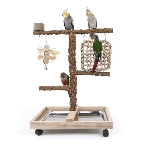 Einfache stachelige Esche Holz Vogel Stand mit Rolle Papagei Play Gym Übung Center mit Barsch Paltform Kauspielzeug Gras Netz für kleine und mittlere Vogel Sittich Lovebirds von HPAWHOMEPART