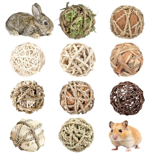 HPAWHOMEPART Kaninchenspielzeug für Kaninchen, Kauspielzeug für Kaninchen, Hamster, Meerschweinchen, Rennmäuse, Chinchilla, 10 Stück von HPAWHOMEPART