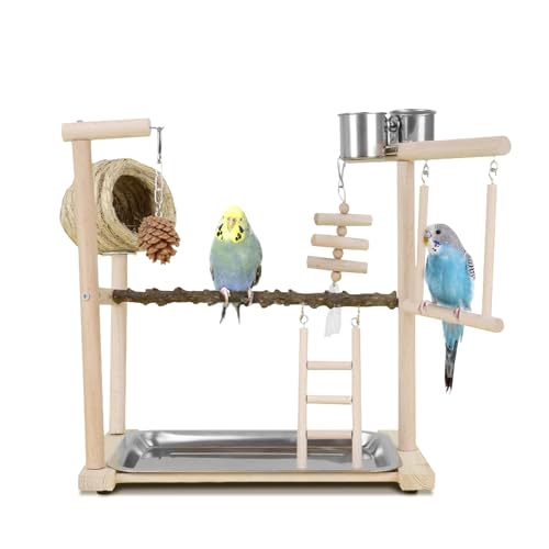 Spielplatz für Papageien aus Naturholz mit Nest, Futternäpfen, Leitern, Schaukel, Sitzstange und Kauspielzeug für kleine und mittelgroße Vögel von HPAWHOMEPART