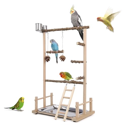 einfache Papagei Sitzstange Stehen Spielzeug hölzerne Vogel Spielplatz Übung Laufstall mit Fütterung Tassen pricklysah Holz Sitzstangen Schaukel Leitern für kleine und mittlere Sittich von HPAWHOMEPART