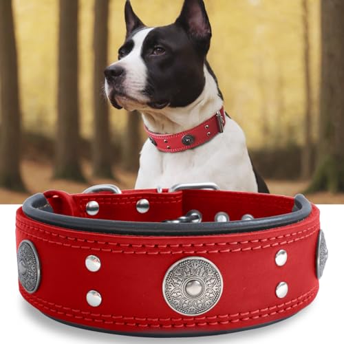 Hundehalsband Leder, 5 cm Breites Robustes Echtes Lederhalsband, Handgefertigt, Weich und Luxuriös, Auffällige Beste Wahl für Große und Mittelgroße Hunderassen, rot 42-52 cm von HQSHNY