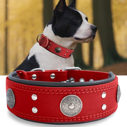 Hundehalsband Leder, 5 cm Breites Robustes Echtes Lederhalsband, Handgefertigt, Weich und Luxuriös, Auffällige Beste Wahl für Große und Mittelgroße Hunderassen, rot 49.5-60 cm von HQSHNY