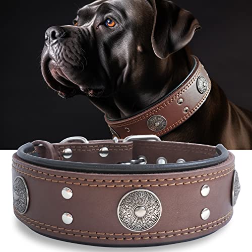 Hundehalsband Leder, 5 cm Breites Robustes Echtes Lederhalsband, Handgefertigt, Weich und Luxuriös, Auffällige Beste Wahl für Große und Mittelgroße Hunderassen 42-52 cm von HQSHNY