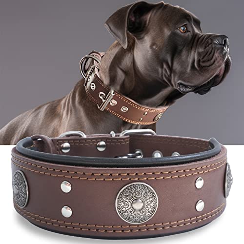 Hundehalsband Leder, 5 cm Breites Robustes Echtes Lederhalsband, Handgefertigt, Weich und Luxuriös, Auffällige Beste Wahl für Große und Mittelgroße Hunderassen 49.5-60 cm von HQSHNY