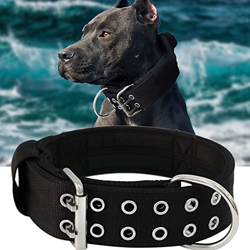 Hundehalsband für Große Hunde - 5 cm Breites Halsband mit Griff für Extragroße Hunderassen, schwarz, Weich Gepolstertes Neopren Nylon Hunde Halsband für Grosse Hunde Big Dog Collar 43-56cm von HQSHNY