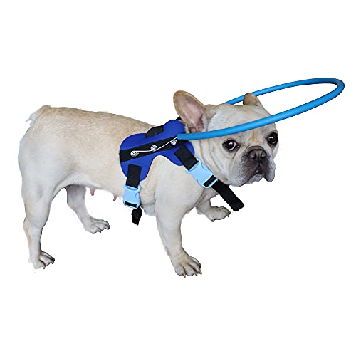 HQSLC Blind Dog Harness Guiding Device,Pet Anti-Kollisionsring zum Schutz und Aufbau von Selbstvertrauen, Zubehör für blindes Hunde, Größe M von HQSLC