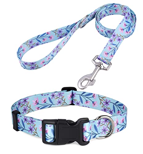 HQYDDMI Hundehalsband und Leine, Set für große Hunde, mit Blumendruck, weich, bequem, verstellbares Halsband für kleine, mittelgroße und große Hunde, Blumenmuster für Mädchen, Jungen, Hunde, von HQYDDMI