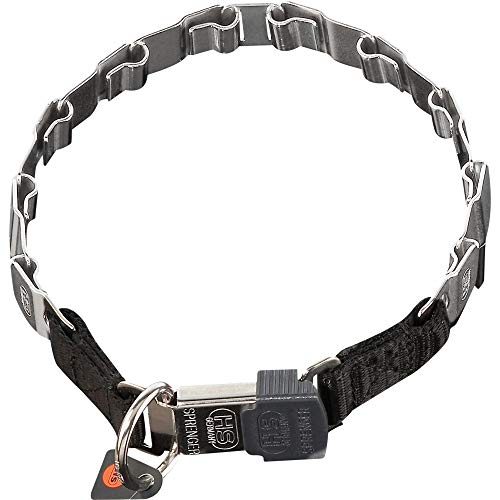 Sprenger Hundehalsband Neck-Tech Fun mit ClicLock Verschluss I Hundehalskette aus rostfreiem Edelstahl, Flache austauschbare Gliederkette, 48cm von Herm Sprenger