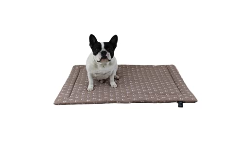 Made in Germany hochwertige Sommer Hundedecke, Anker Beige, 45x65cm für kleine & große Hunde I weiche Kuscheldecke, waschbar, trocknergeeignet von HS-Hundebett