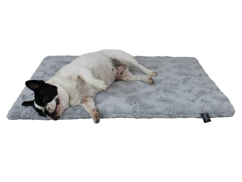 HS-Hundebett 95x135cm Hellgrau gepolsterte Exklusivdecke in Unifarben I Hundedecke Made in Germany I Weiche Kuscheldecke für große & kleine Hunde I waschbar bei 40° - trocknergeeignet von HS-Hundebett