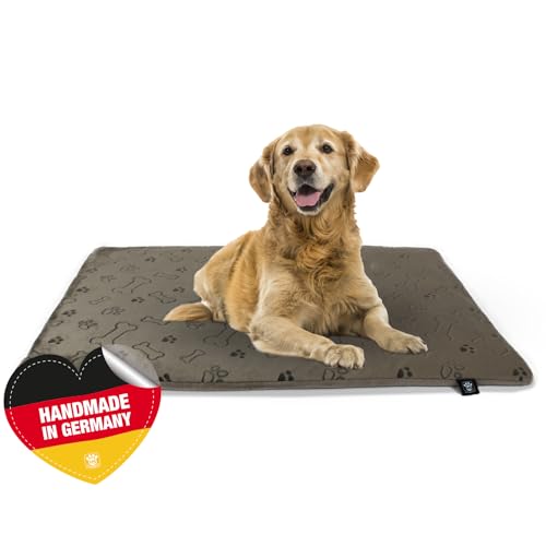 Made in Germany rutschfeste Hundedecke, Pfote Champagner, 45 x 65 cm, für kleine & große Hunde I Flauschige Hundedecke, waschbar, trocknergeeignet mit 4 cm Polster-Füllung von HS-Hundebett