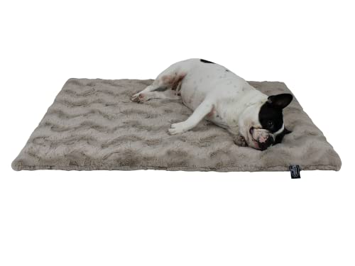 HS-Hundebett 30x45cm Sand gepolsterte Exklusivdecke in Unifarben I Hundedecke Made in Germany I Weiche Kuscheldecke für große & kleine Hunde I waschbar bei 40° - trocknergeeignet von HS-Hundebett