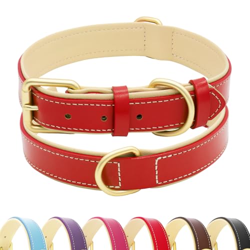 HSIGIO Hundehalsband aus Leder für kleine, mittelgroße und große Hunde, weich gepolstertes Hundehalsband mit goldfarbener Schnalle, verstellbare Echtlederhalsbänder für extra große Hunde (Rot, XL) von HSIGIO