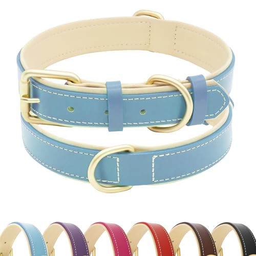 HSIGIO Hundehalsband aus Leder für kleine, mittelgroße und große Hunde, weich gepolstertes Hundehalsband mit goldfarbener Schnalle, verstellbares Echtlederhalsband für extra große Hunde (Blaugrün, XL) von HSIGIO